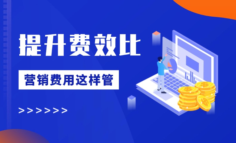 营销成本越来越高？提升费效比，营销费用可以这样管